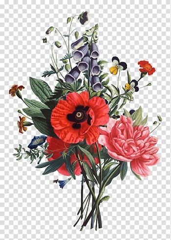 Red and pink flowers , Flower bouquet Drawing Cut flowers, flower transparent background PNG clipart