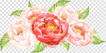 Red and pink flowers , Flower, Hand-painted flower cluster transparent background PNG clipart