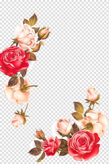 Red and pink flowers illustration, Euclidean Flower Icon, Flowers transparent background PNG clipart
