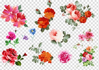 Red and pink petaled flower illustration, Flower Gouache, Gouache flowers material transparent background PNG clipart