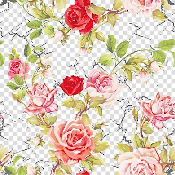 Red and pink rose flowers , Garden roses Centifolia roses Flower Pattern, A pattern of roses decorative patterns transparent background PNG clipart