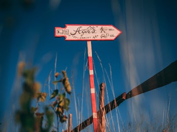 Red and Pink Wooden Directional Street Signage