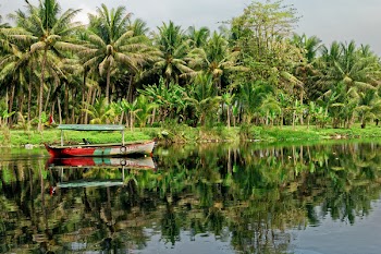 Red and White Boat Facing Palm Tree