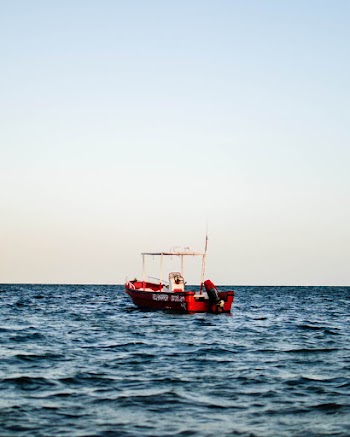 Red and White Boat on Body of Water