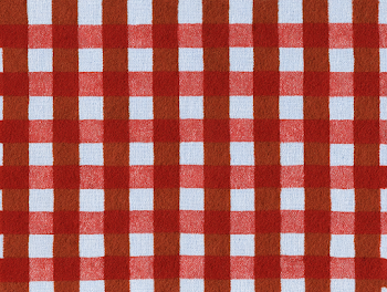 Red and White Checkered Tablecloth Texture
