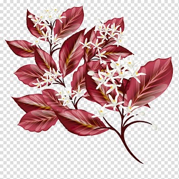 Red and white floral illustration, leaves and flowers transparent background PNG clipart