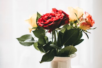 Red and White Flowers With White Vase