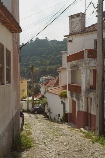 Red and White Houses