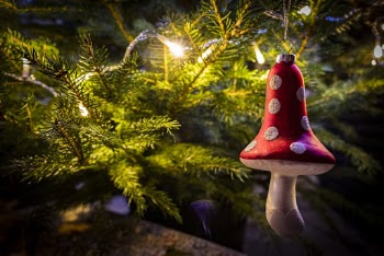 Red and White Mushroom Decor