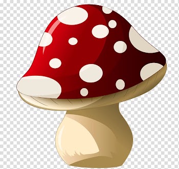 Red and white mushroom illustration, Mushroom , Mushroom transparent background PNG clipart