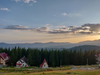 Red and White Painted Houses Near Pine Trees
