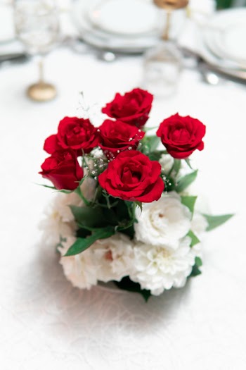 Red and White Rose Flowers in Vase on White Surface