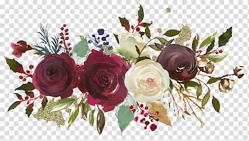 Red and white rose painting, Garden roses Floral design Flower Watercolor painting, flower transparent background PNG clipart