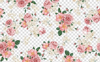 Red and white roses , Pink flowers Rose Pink flowers , Classical roses and peony-like pattern transparent background PNG clipart