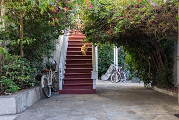 Red and White Stairs