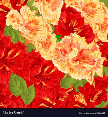 Red and yellow flowering shrub floral background vector image