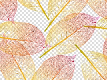 Red and yellow leaves illustration, leaf shading transparent background PNG clipart