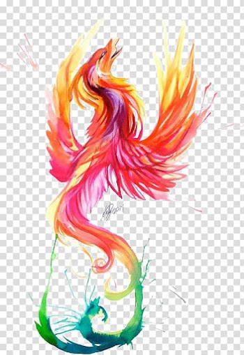 Red and yellow phoenix , Watercolor painting Phoenix Tattoo Firebird, Red Phoenix transparent background PNG clipart