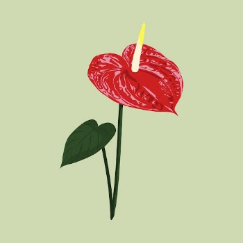 Red anthurium clipart, tropical flower | Free Vector Illustration - rawpixel