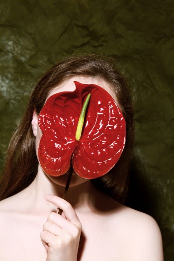 Red Anthurium Leaf
