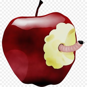 red apple fruit plant clip art