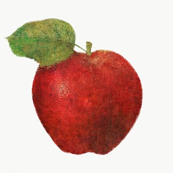 Red apple illustration sketch style sticker  | Free  transparent png - 2337166