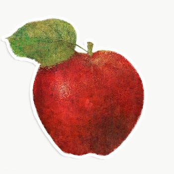 Red apple illustration sketch style sticker | Free  transparent png - 2337257