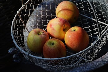 Red Apple on Gray Mesh Basket Set F 5