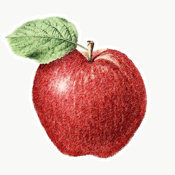 Red apple sketch design element  | Free  transparent png - 2337246