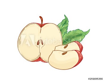 Red apple slices hand drawn vector illustration
