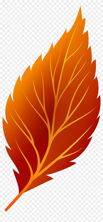 Red Autumn Leaf Png Clip Art - Autumn Leaves Leaves Png