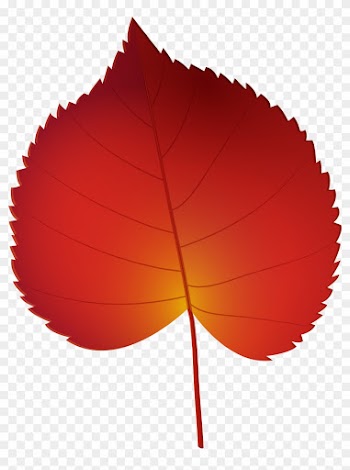 Red Autumn Leaf Png Clip Art - Red Autumn Leaf Png Clip Art