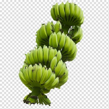 Red banana Food Lady Finger banana Latundan banana, Fruits Et Lxe9gumes transparent background PNG clipart