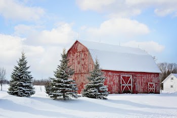 Red Barn Near Pine Trees Under Cloudy Sky