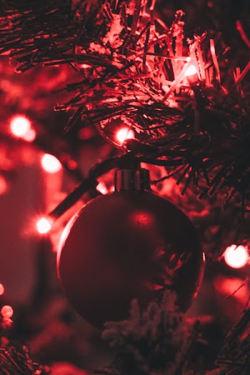 Red Bauble Attached on a Pre-lit Tree