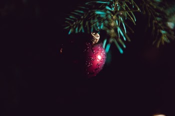 Red Bauble on Christmas Tree
