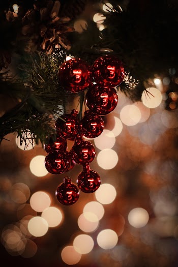 Red Baubles