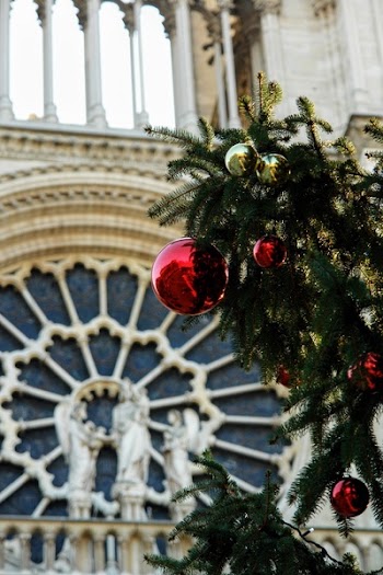 Red Baubles Hanging on Green Christmas Tree