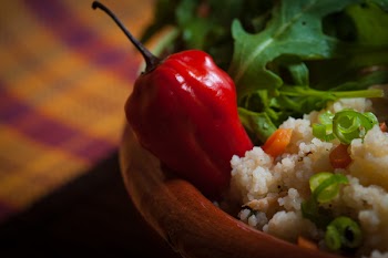 Red Bell Pepper
