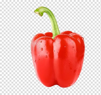 Red bell pepper, Bell pepper Vegetarian cuisine Vegetable Trinidad moruga scorpion Seed, Red pepper transparent background PNG clipart