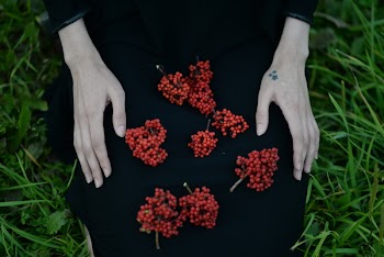 Red Berries on Person's Lap