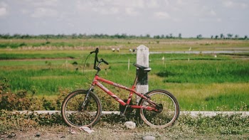 Red Bicycle 