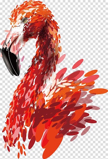 Red bird artwork , Flamingo Bird Color, Color stitching Flamingos transparent background PNG clipart