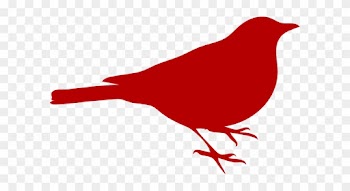 Red Bird Clip Art - Bird Is The Word Note Cards