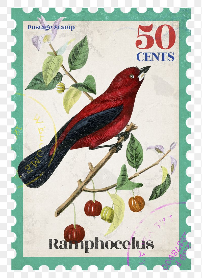 Red bird png post stamp, | Free PNG - rawpixel