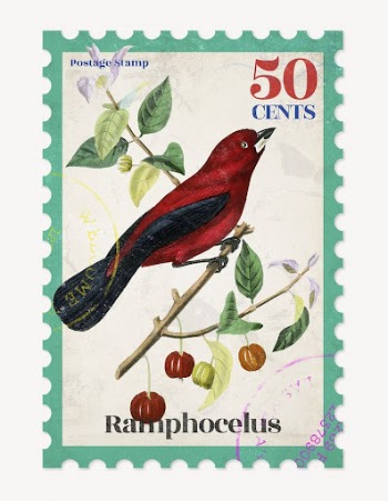 Red bird postage stamp, ephemera | Free PSD - rawpixel