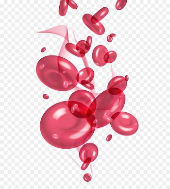 Red blood cell Blood plasma Platelet - Lovely red blood cell graphics 