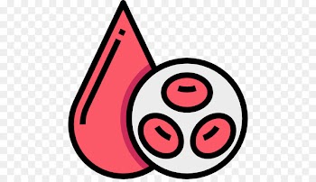 Red blood cell Complete blood count - blood 