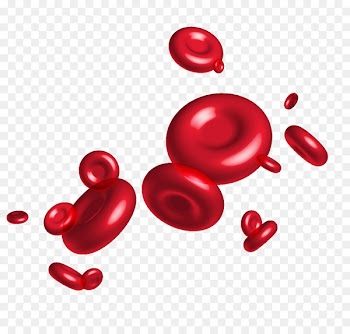 Red blood cell - Vector blood cell material 