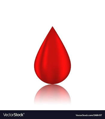  					Red blood drop with reflection isolated on white vector image														